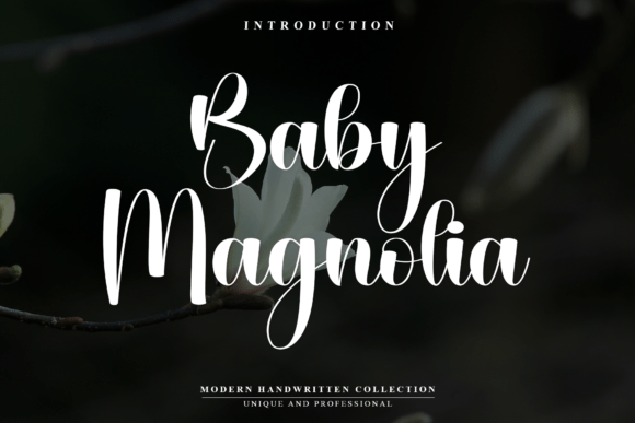 Baby Magnolia: A Font That Breathes Elegance Into Every Project