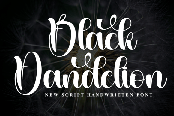 Black Dandelion: A Script Font for Campaigns That Speak in Style