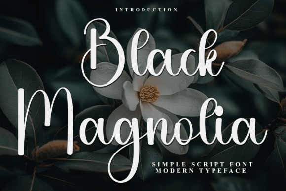 Black Magnolia: A Script Font for Editorial Elegance